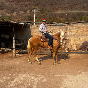 Meet your Posher, Alan